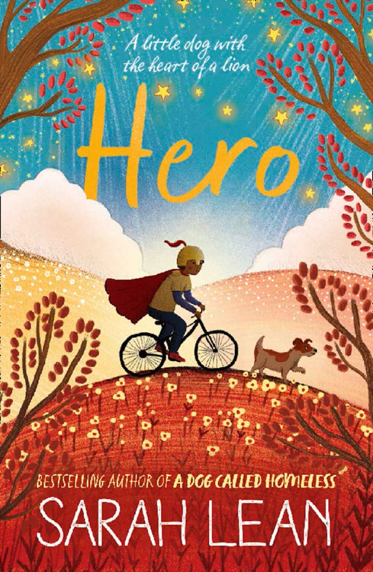 Cover image for Hero, isbn: 9780007512232