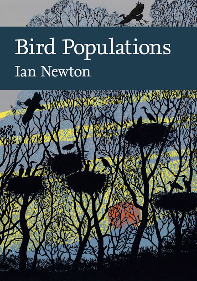 Cover image for Bird Populations (Collins New Naturalist Library, Book 124), isbn: 9780007527991