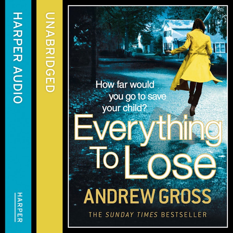 Cover image for Everything to Lose, isbn: 9780007543540