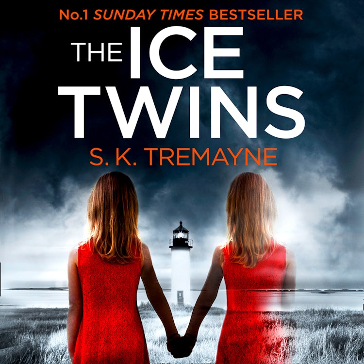 Cover image for The Ice Twins: The gripping crime thriller from the number one bestseller, isbn: 9780007543687
