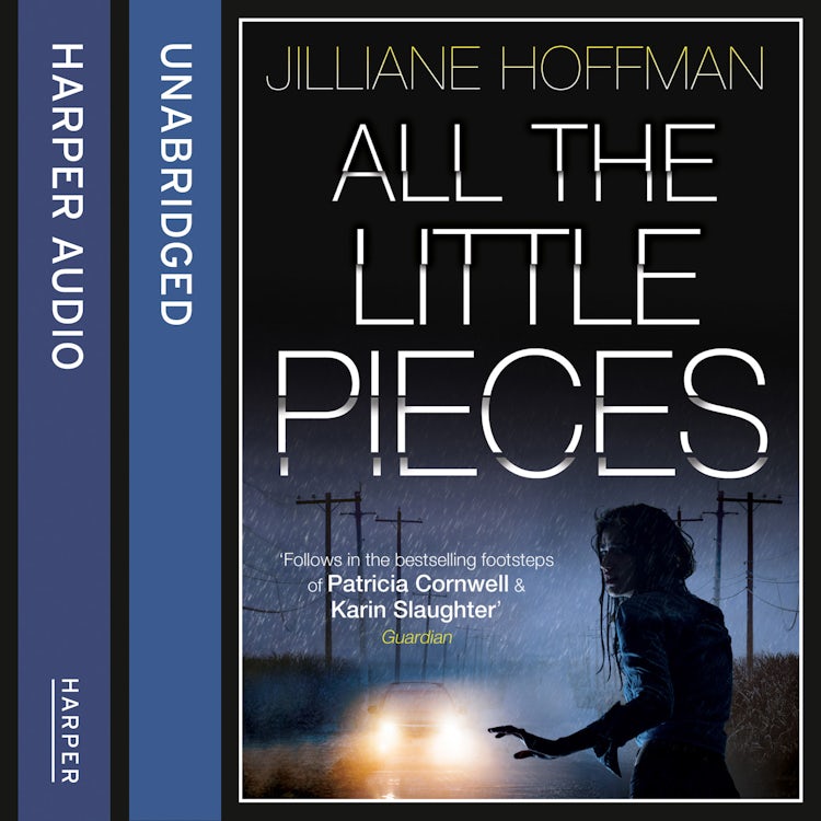 Cover image for All the Little Pieces, isbn: 9780007543779