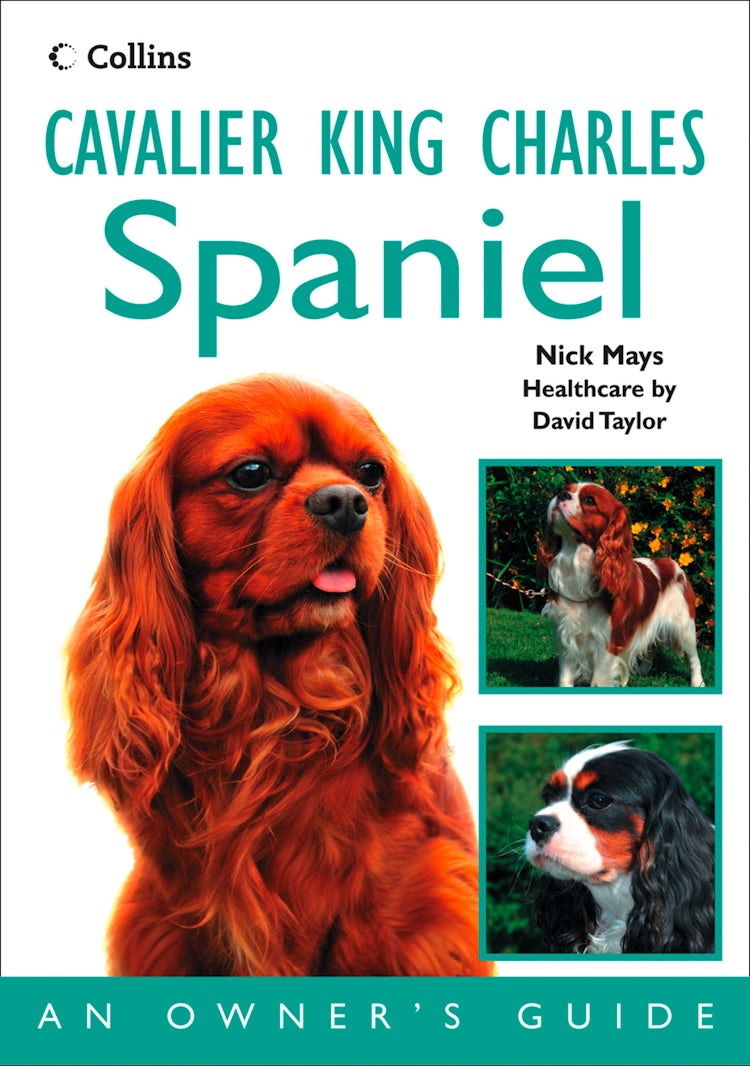 Cover image for Cavalier King Charles Spaniel: An Owner’s Guide, isbn: 9780007544318