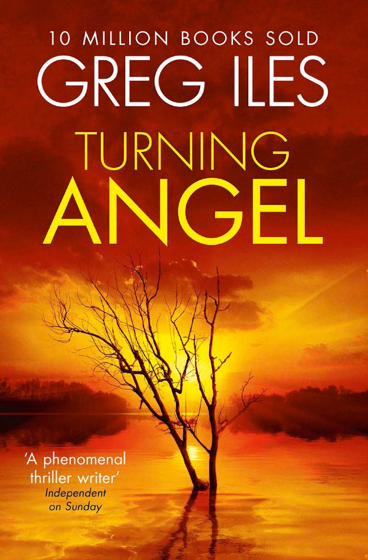 Cover image for Turning Angel, isbn: 9780007546657