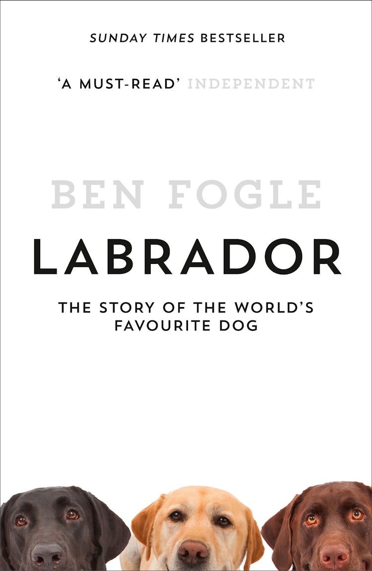 Cover image for Labrador: The Story of the World’s Favourite Dog, isbn: 9780007549030