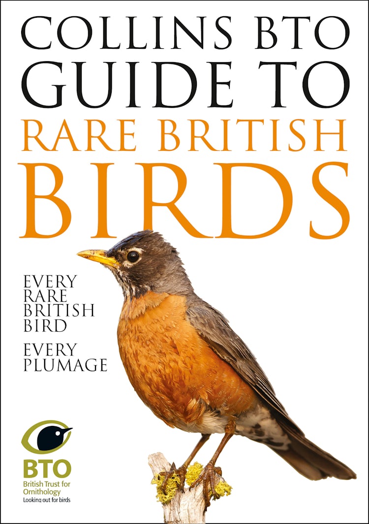 Cover image for Bto Guide to the Rare British Birds, isbn: 9780007551569