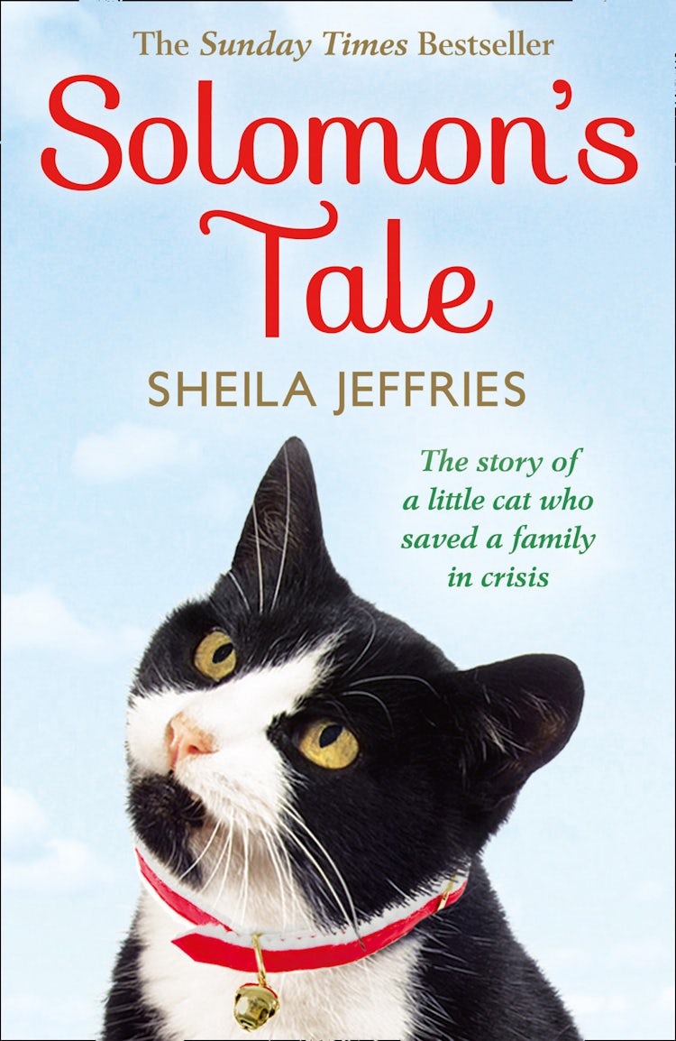 Cover image for Solomon's Tale, isbn: 9780007557660