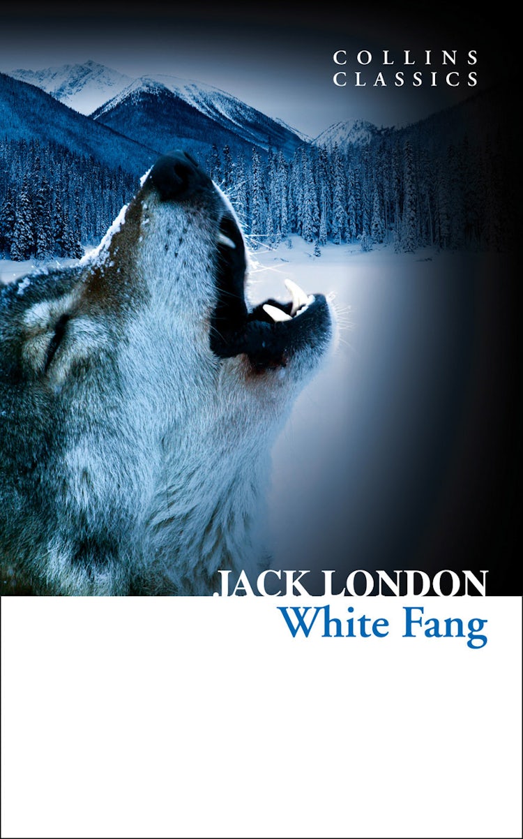Cover image for White Fang (Collins Classics), isbn: 9780007558131
