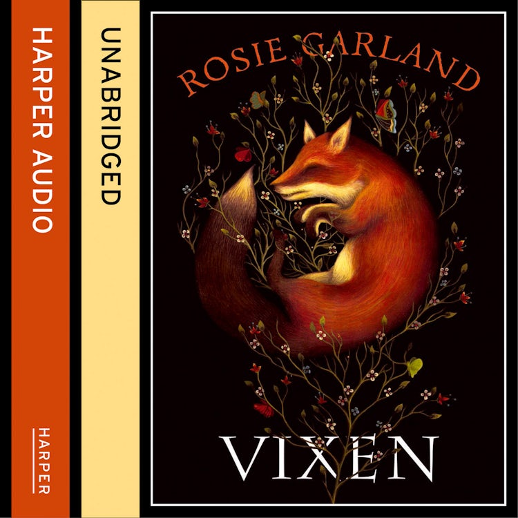 Cover image for Vixen, isbn: 9780007559169