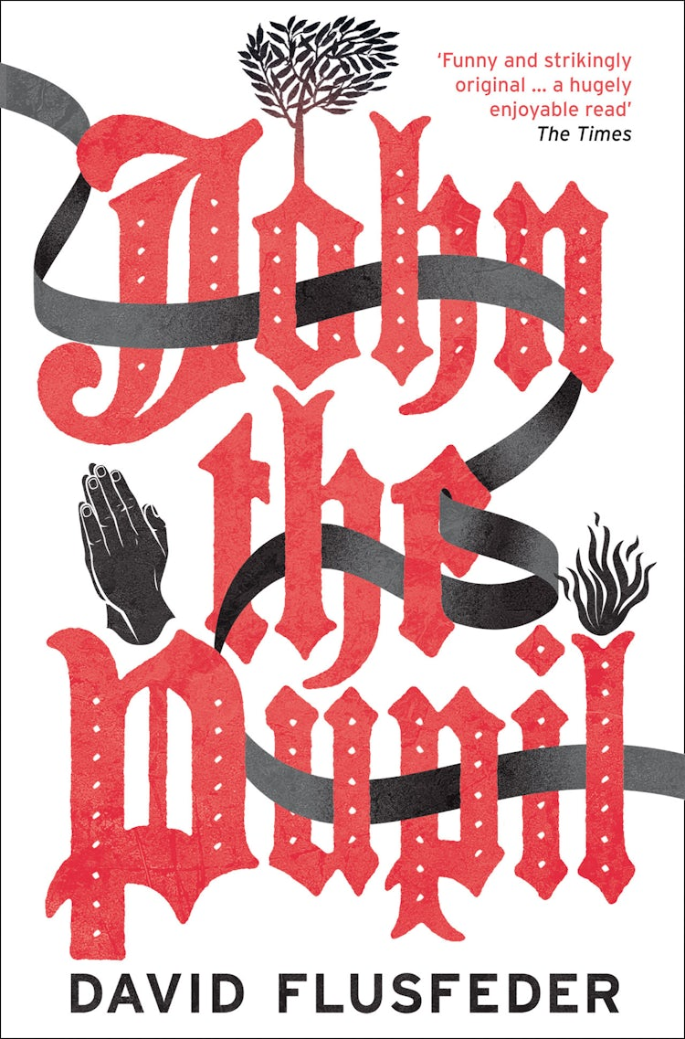 Cover image for John the Pupil, isbn: 9780007561193