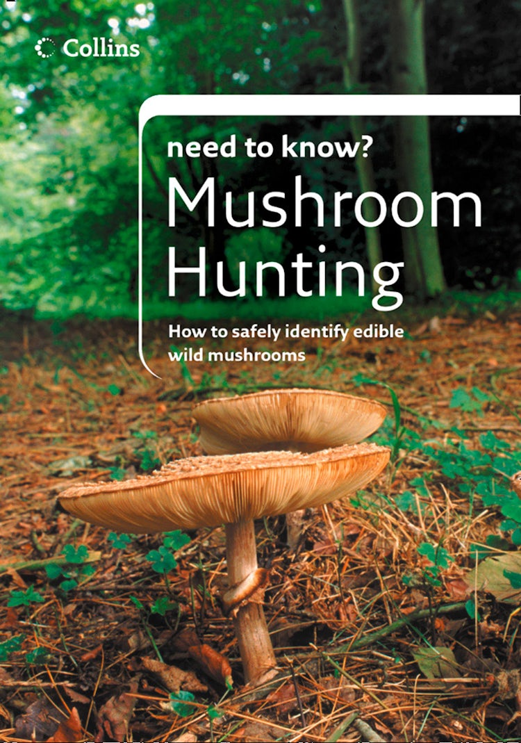 Cover image for Mushroom Hunting (Collins Need to Know?), isbn: 9780007563517