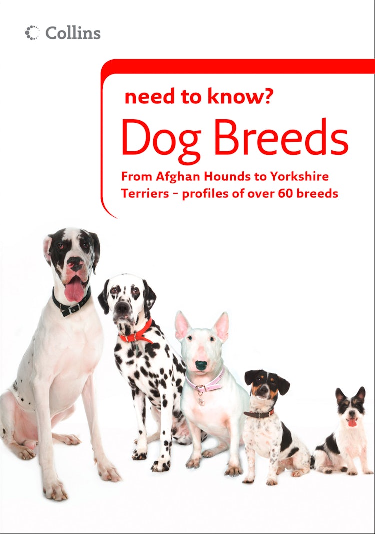 Cover image for Dog Breeds (Collins Need to Know?), isbn: 9780007563562