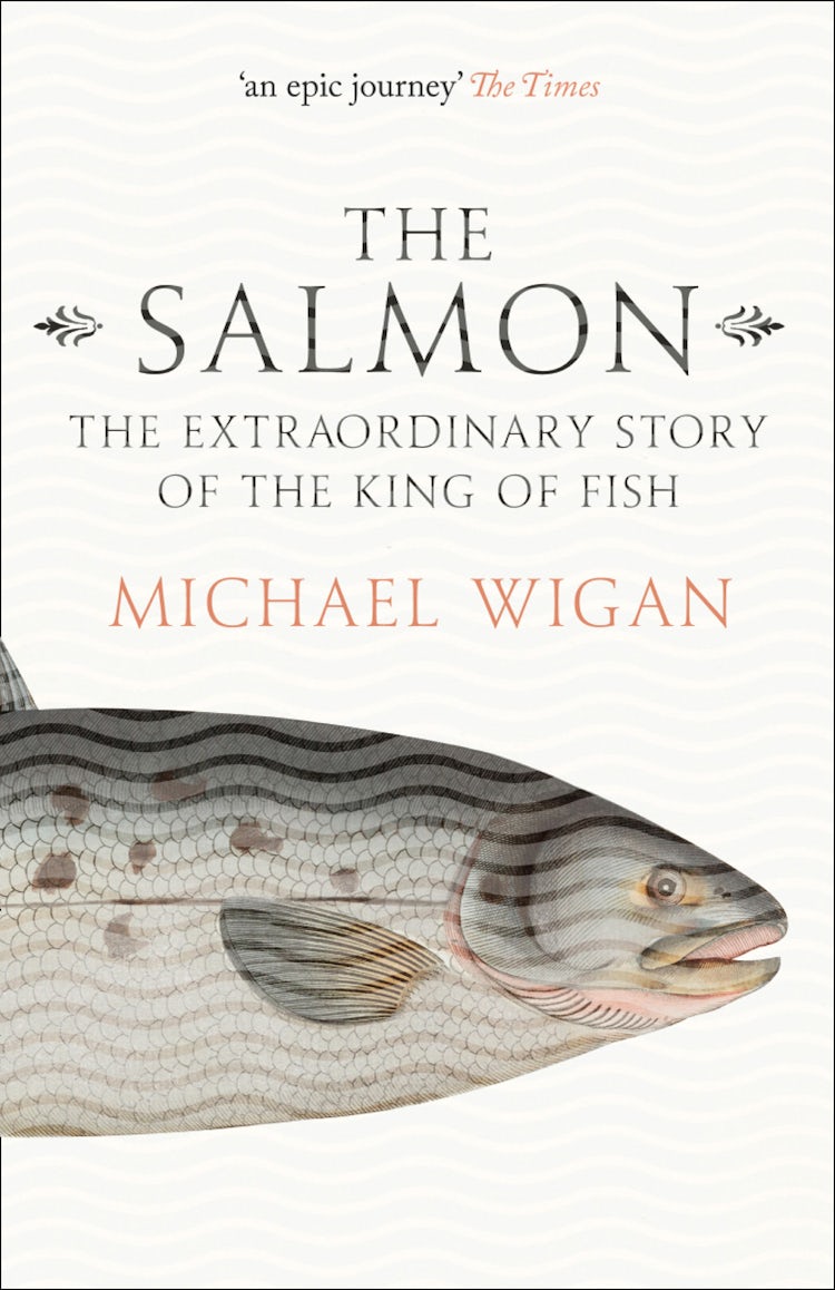 Cover image for The Salmon: The Extraordinary Story of the King of Fish, isbn: 9780007564712