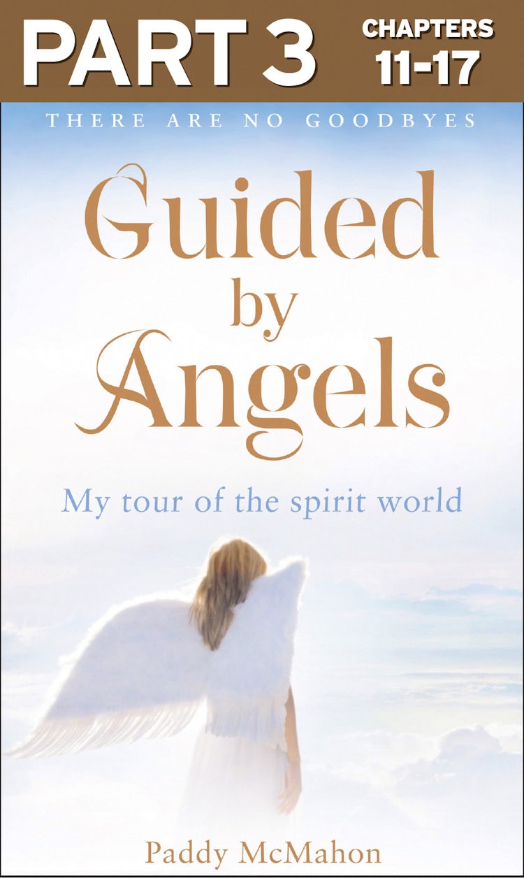 Cover image for Guided By Angels: Part 3 of 3: There Are No Goodbyes, My Tour of the Spirit World, isbn: 9780007577682