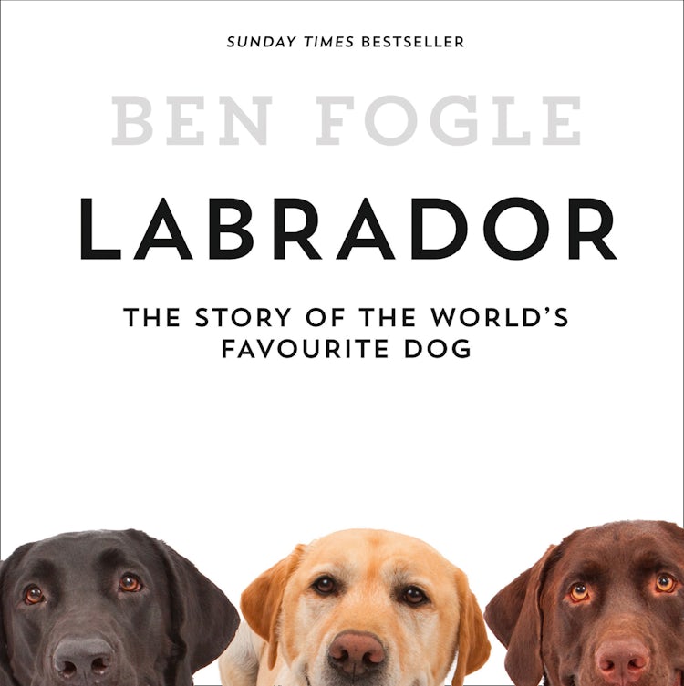 Cover image for Labrador: The Story of the World’s Favourite Dog, isbn: 9780007577965