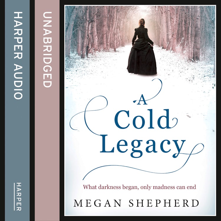 Cover image for A Cold Legacy, isbn: 9780007579389