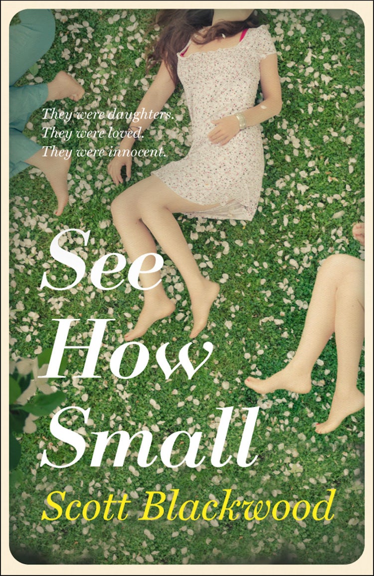 Cover image for See How Small, isbn: 9780007580965