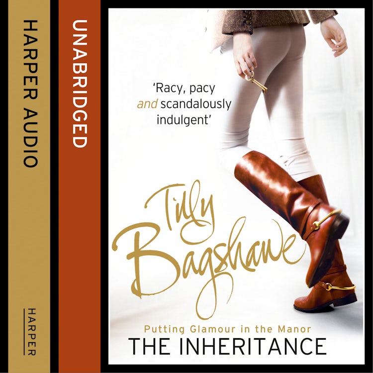 Cover image for The Inheritance (Swell Valley Series, Book 1), isbn: 9780007584260