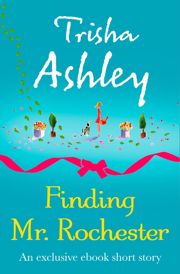 Cover image for Finding Mr Rochester, isbn: 9780007585397