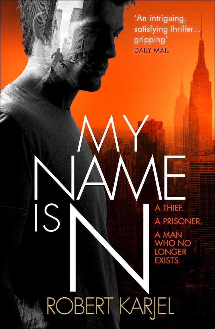 Cover image for My Name is N, isbn: 9780007586035