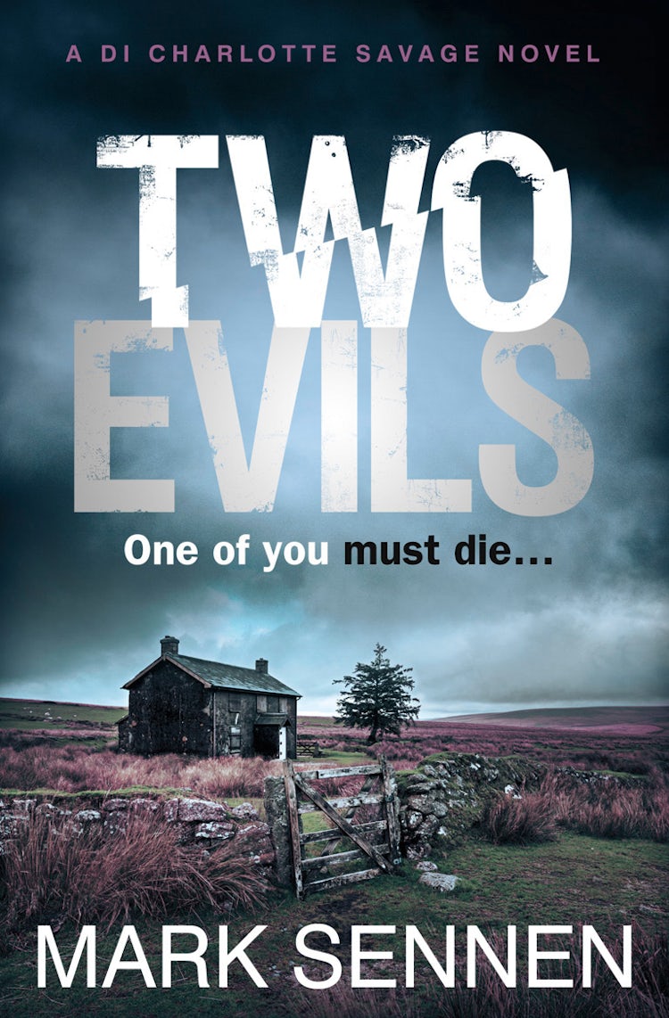 Cover image for Two Evils: A DI Charlotte Savage Novel, isbn: 9780007587896