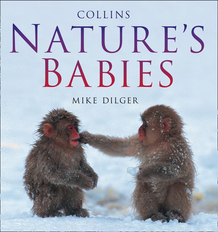 Cover image for Nature’s Babies, isbn: 9780007588930