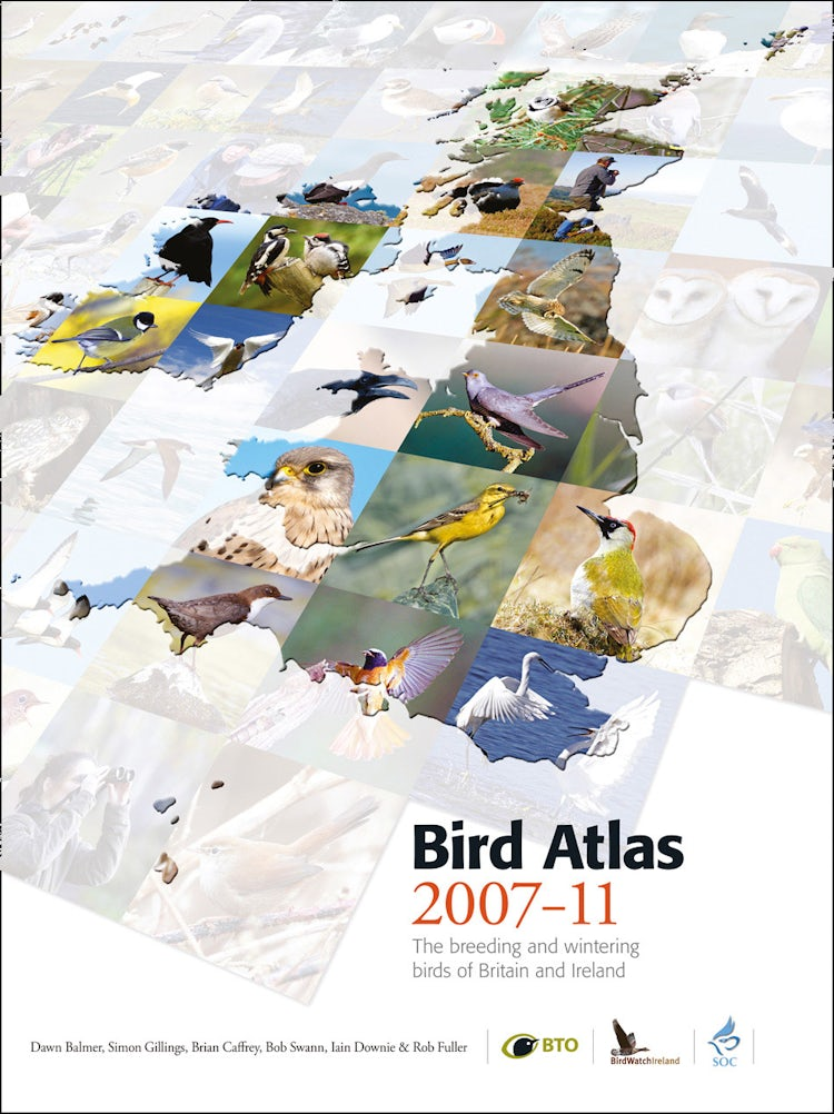 Cover image for Bird Atlas 2007-11: The Breeding and Wintering Birds of Britain and Ireland, isbn: 9780007593019
