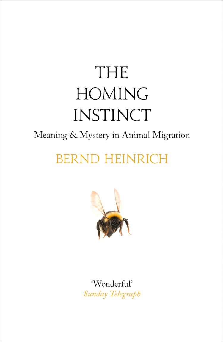 Cover image for The Homing Instinct: Meaning and Mystery in Animal Migration, isbn: 9780007594061