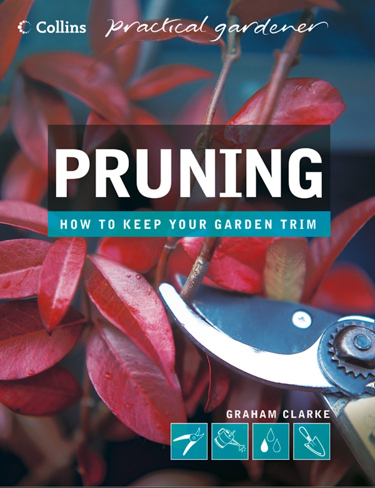 Cover image for Pruning (Collins Practical Gardener), isbn: 9780007596621