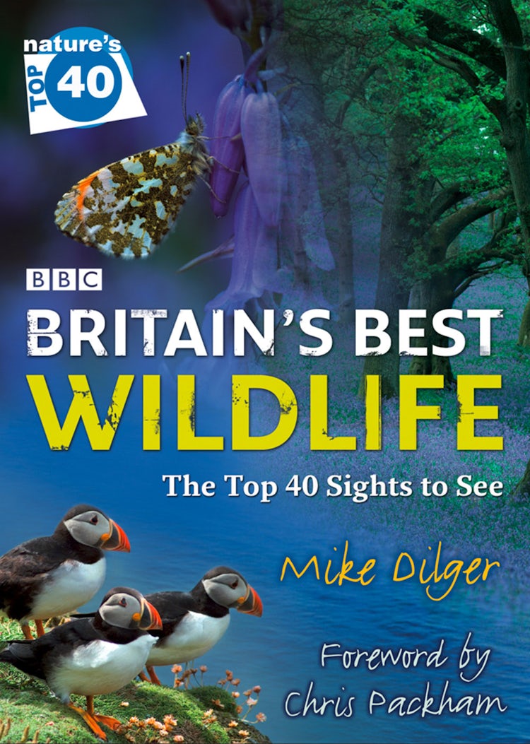 Cover image for Nature’s Top 40: Britain’s Best Wildlife, isbn: 9780007596645