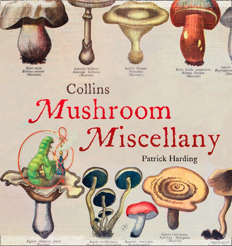 Cover image for Collins Mushroom Miscellany, isbn: 9780007596683