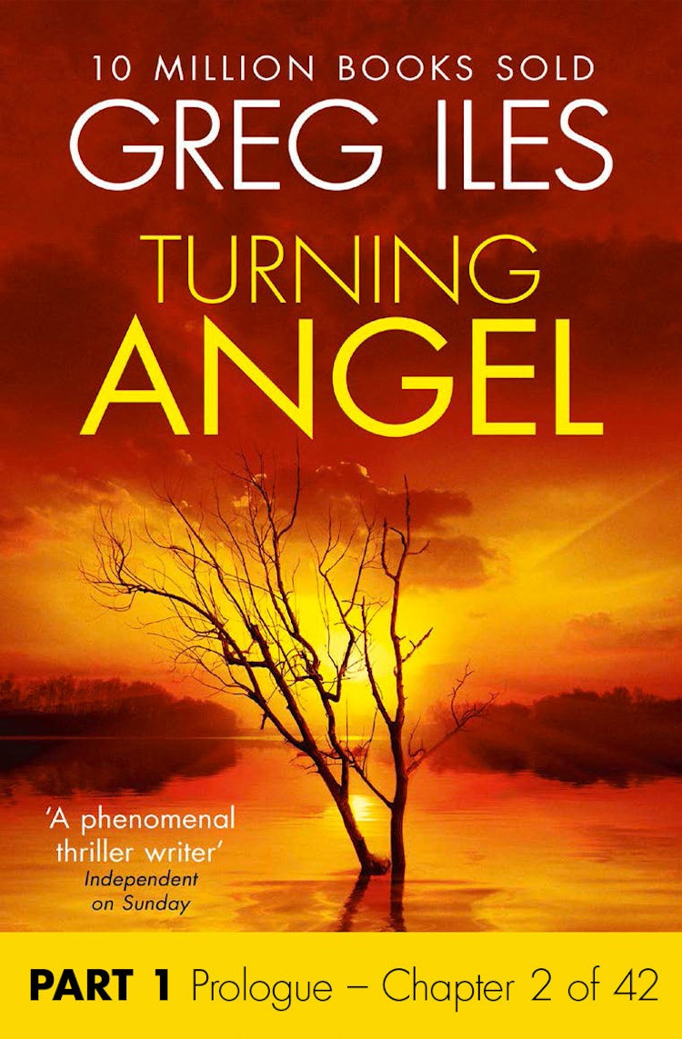 Cover image for Turning Angel: Part 1, Prologue to Chapter 2 inclusive, isbn: 9780008100049