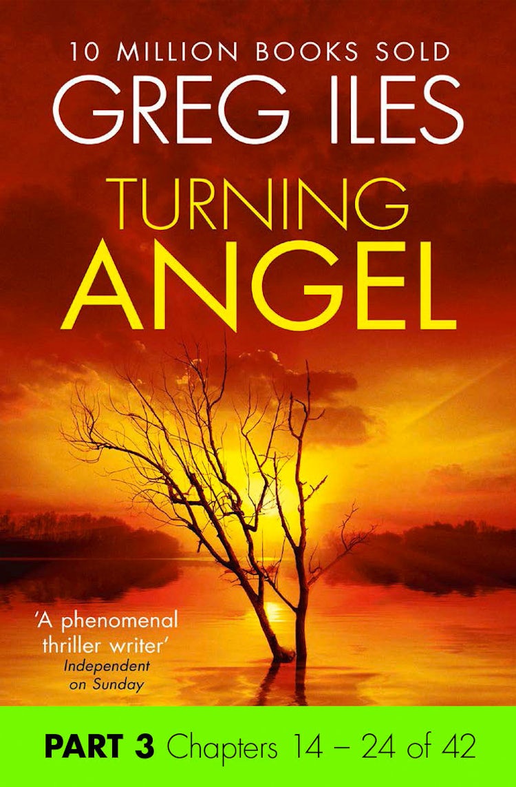 Cover image for Turning Angel: Part 3, Chapters 14 to 24, isbn: 9780008100063