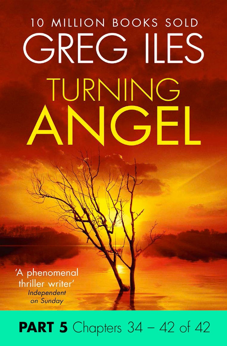 Cover image for Turning Angel: Part 5, Chapters 34 to 42, isbn: 9780008100087