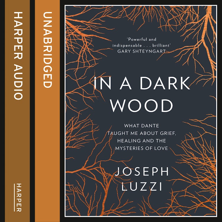 Cover image for In a Dark Wood: What Dante Taught Me About Grief, Healing, and the Mysteries of Love, isbn: 9780008100650