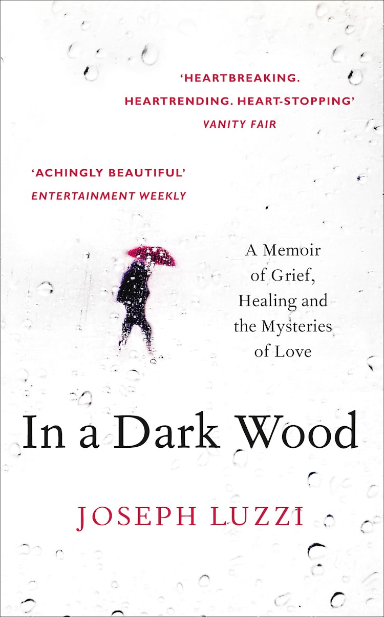 Cover image for In a Dark Wood: A Memoir of Grief, Healing and the Mysteries of Love, isbn: 9780008100667