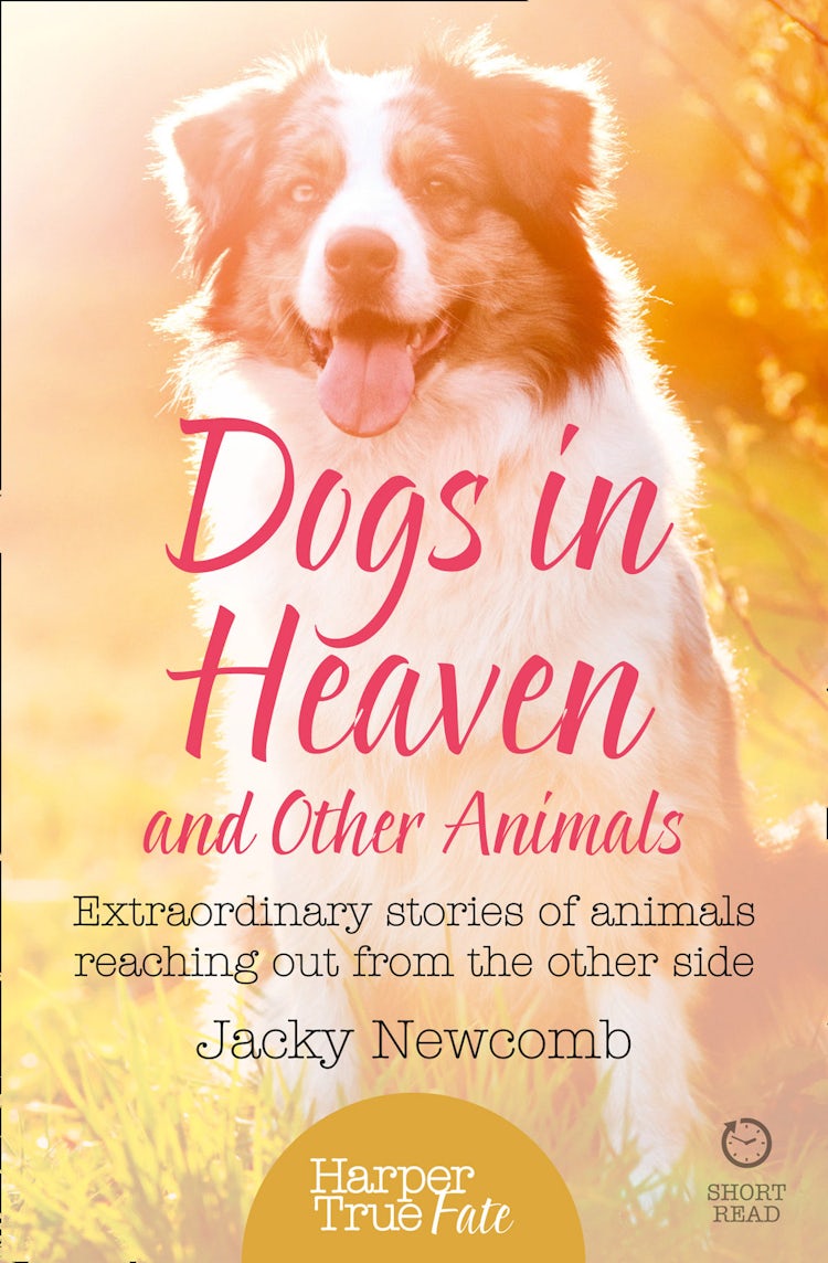 Cover image for Dogs in Heaven and Other Animals: Extraordinary Stories of Animals Reaching Out From the Other Side, isbn: 9780008105198