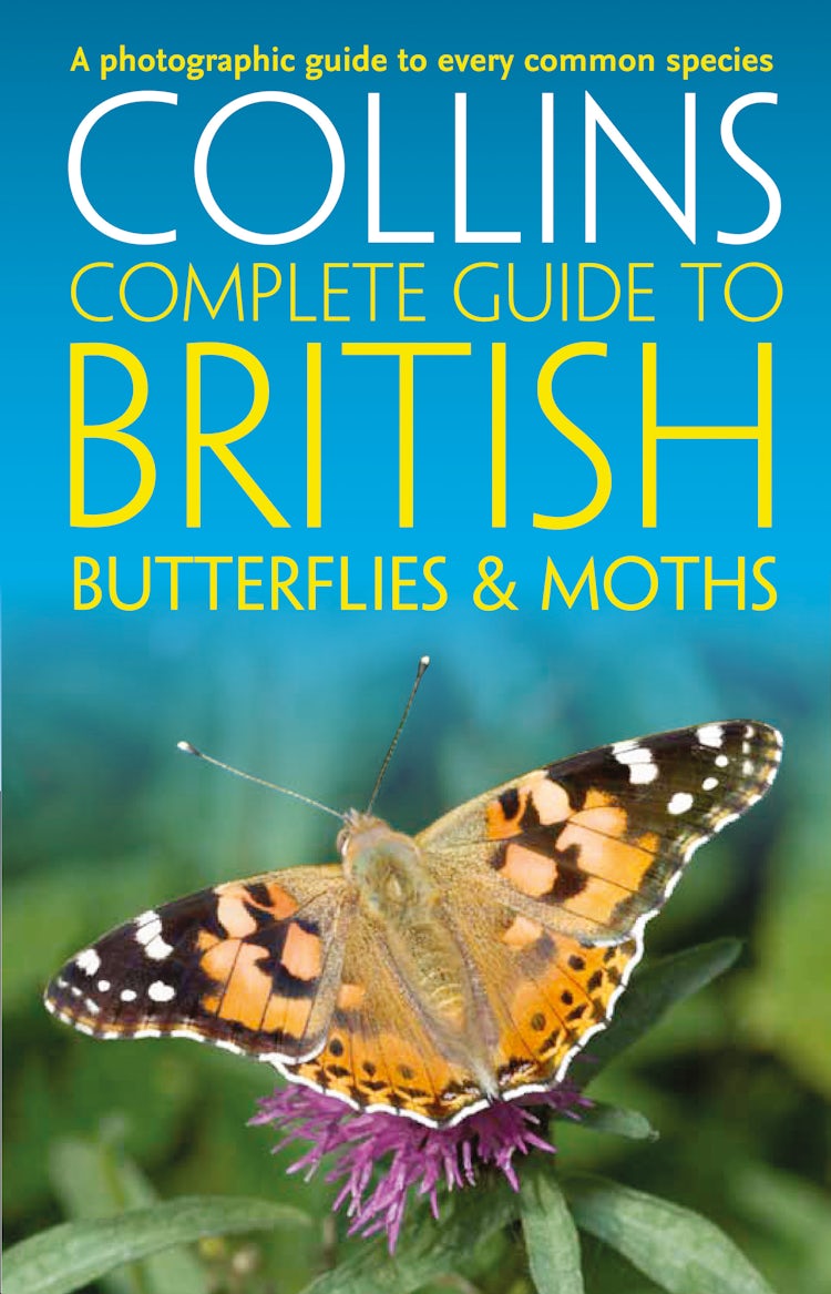 Cover image for British Butterflies and Moths (Collins Complete Guides), isbn: 9780008106126