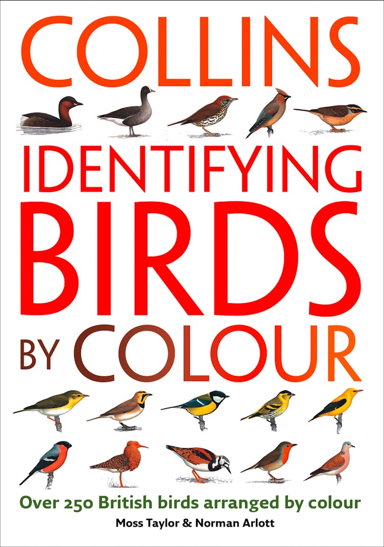 Cover image for Identifying Birds by Colour, isbn: 9780008108465