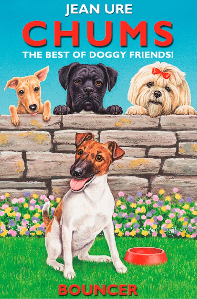 Cover image for Bouncer (Chums), isbn: 9780008116743