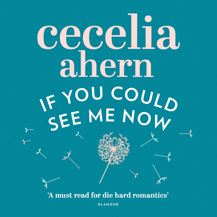 Cover image for If You Could See Me Now, isbn: 9780008117061