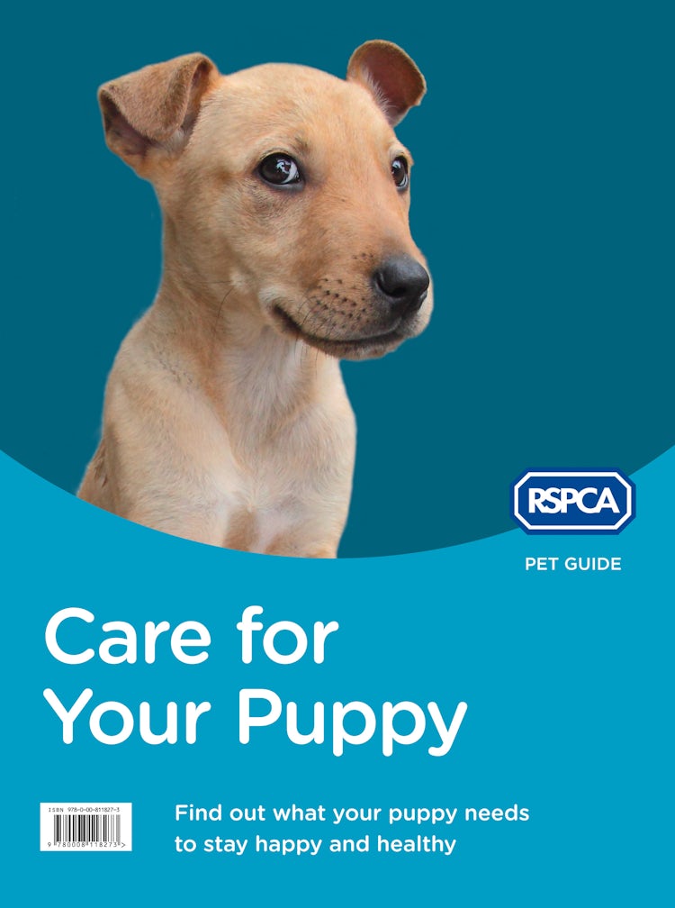 Cover image for RSPCA Pet Guide: Care For Your Puppy [New Edition], isbn: 9780008118273