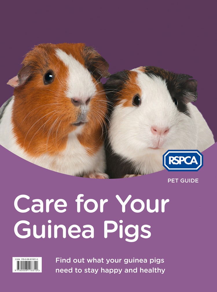 Cover image for RSPCA Pet Guide: Care For Your Guinea Pig [New Edition], isbn: 9780008118310