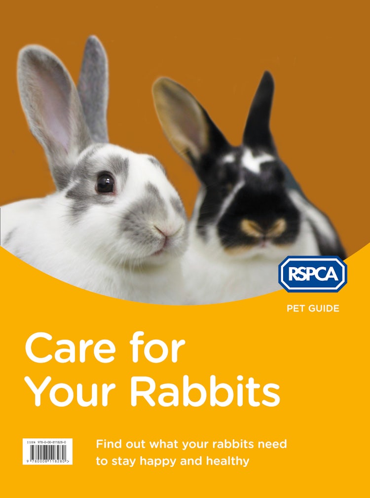 Cover image for Care for Your Rabbits (RSPCA Pet Guide), isbn: 9780008119225