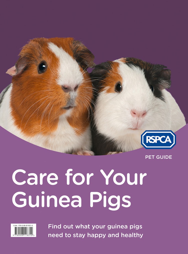 Cover image for Care for Your Guinea Pigs (RSPCA Pet Guide), isbn: 9780008119249