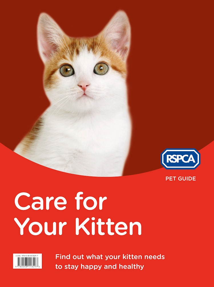 Cover image for Care for Your Kitten (RSPCA Pet Guide), isbn: 9780008119256