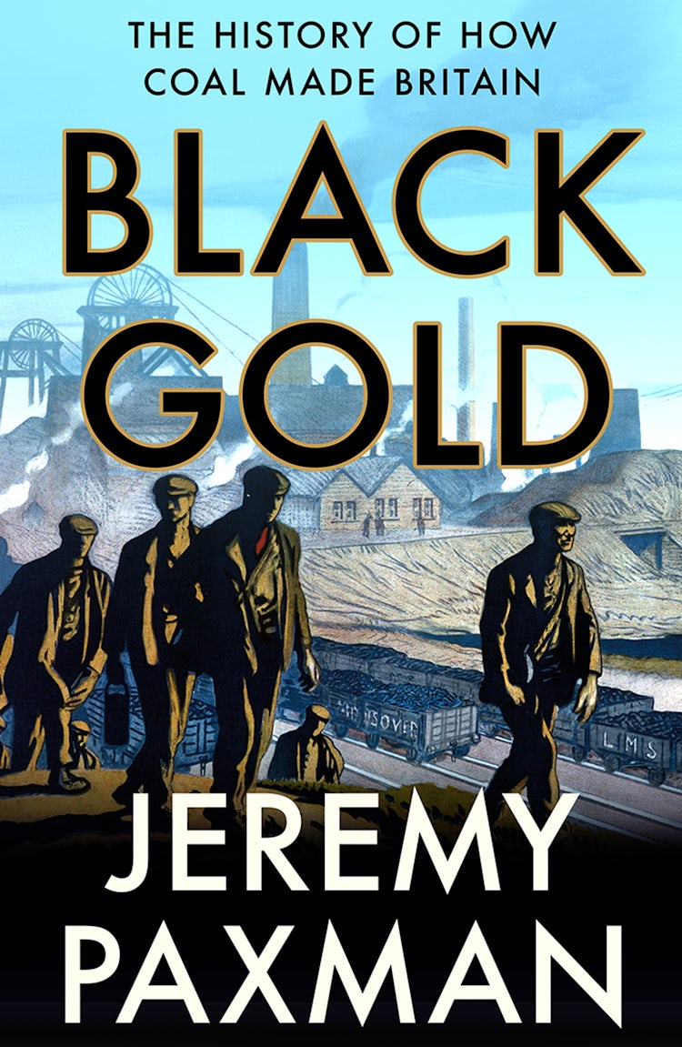Cover image for Black Gold: The History of How Coal Made Britain, isbn: 9780008128357