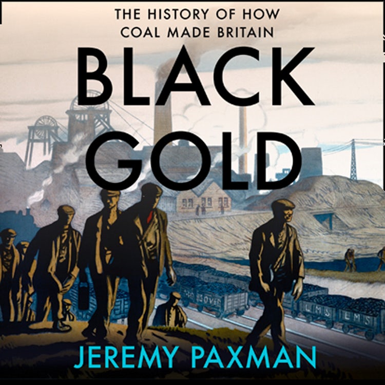 Cover image for Black Gold: The History of How Coal Made Britain, isbn: 9780008128371