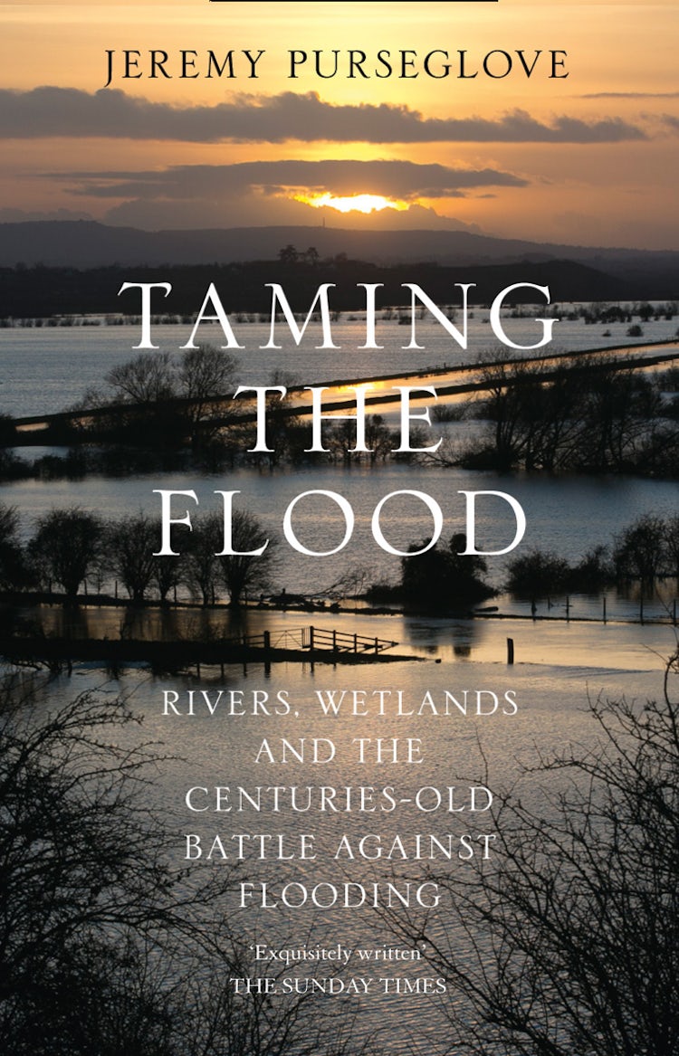 Cover image for Taming the Flood: Rivers, Wetlands and the Centuries-Old Battle Against Flooding, isbn: 9780008132224