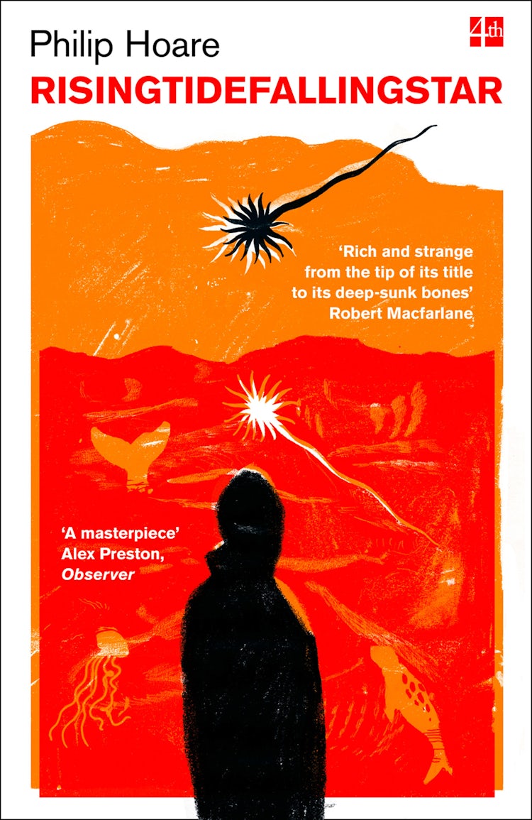 Cover image for RISINGTIDEFALLINGSTAR, isbn: 9780008133696