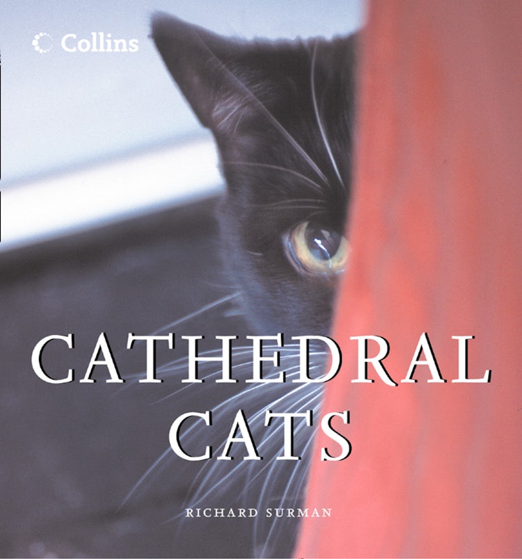 Cover image for Cathedral Cats, isbn: 9780008140656